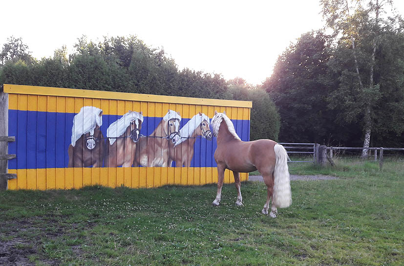 Unsere Hengst-Parade 2023